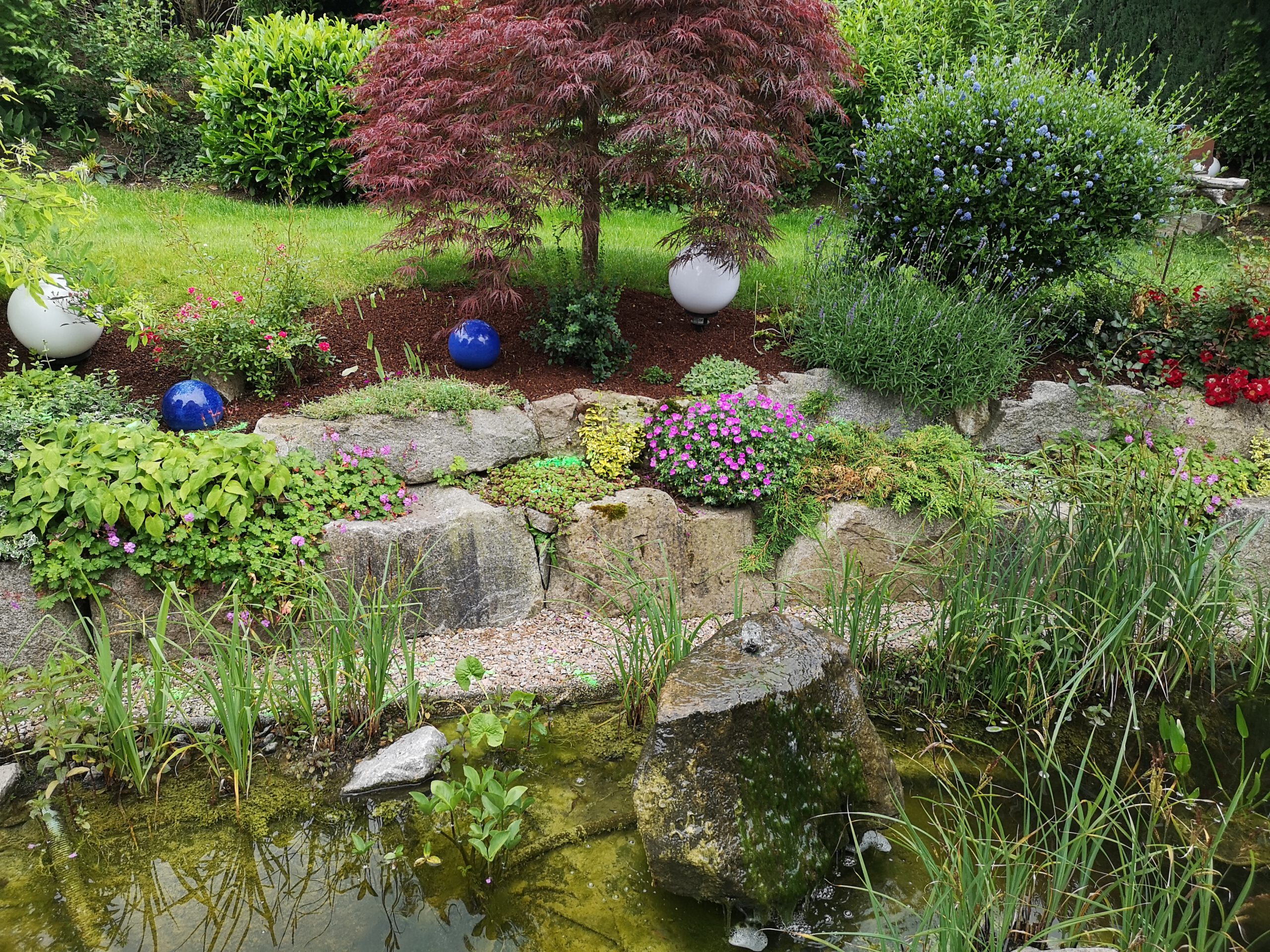 Stein im Garten – Natursteinmauer und Wege