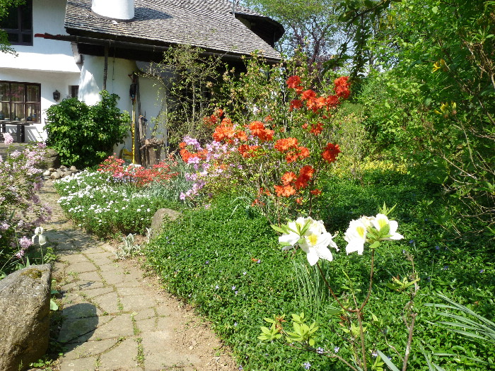Bepflanzung 30