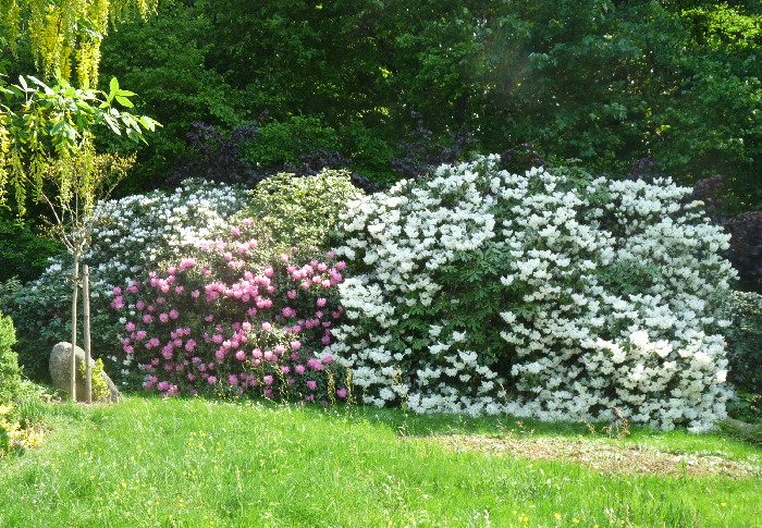 Bepflanzung 27