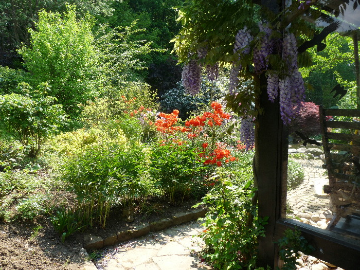 Bepflanzung 26