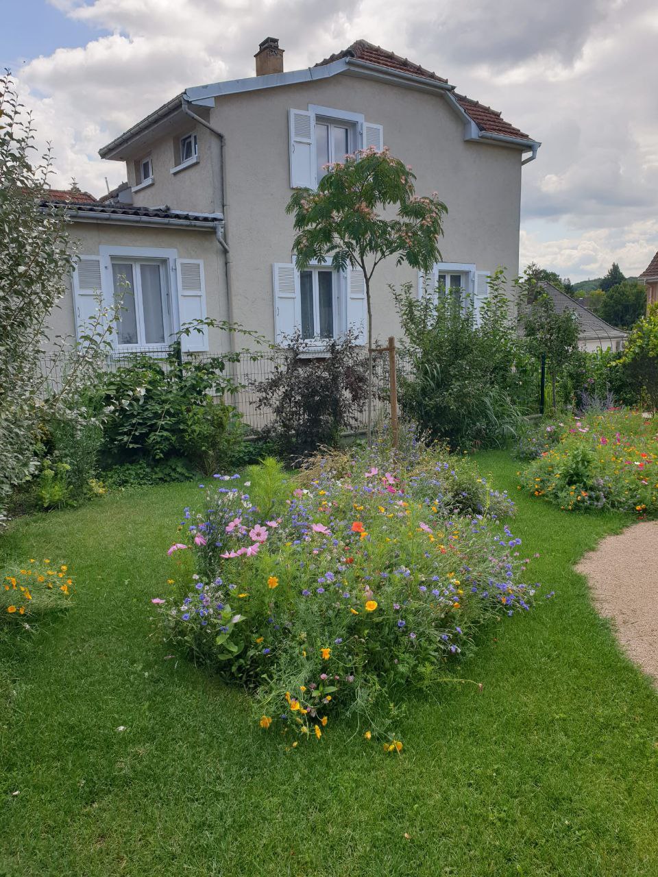 Bepflanzung 23