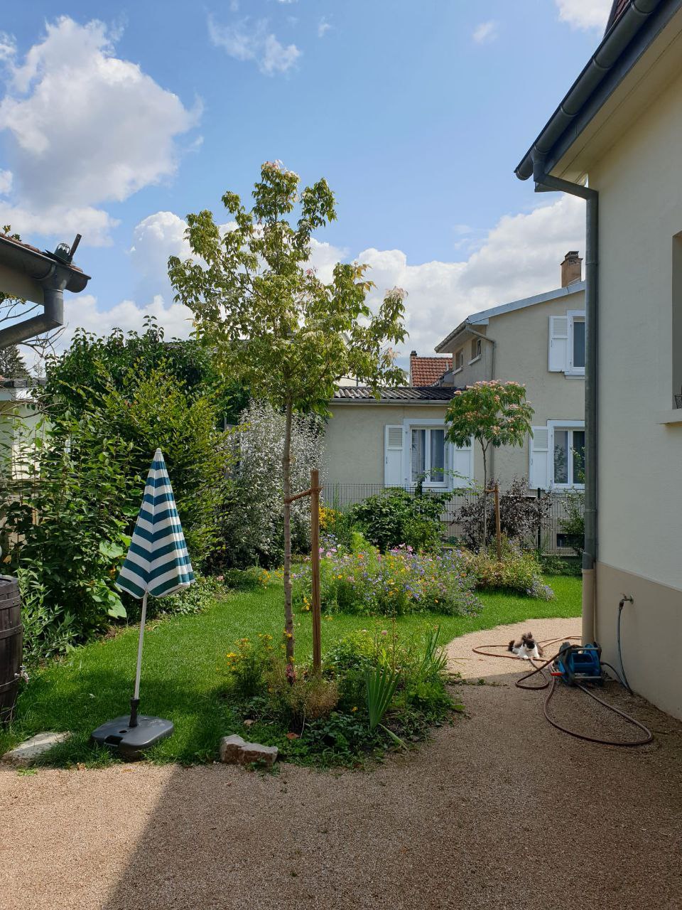 Bepflanzung 22