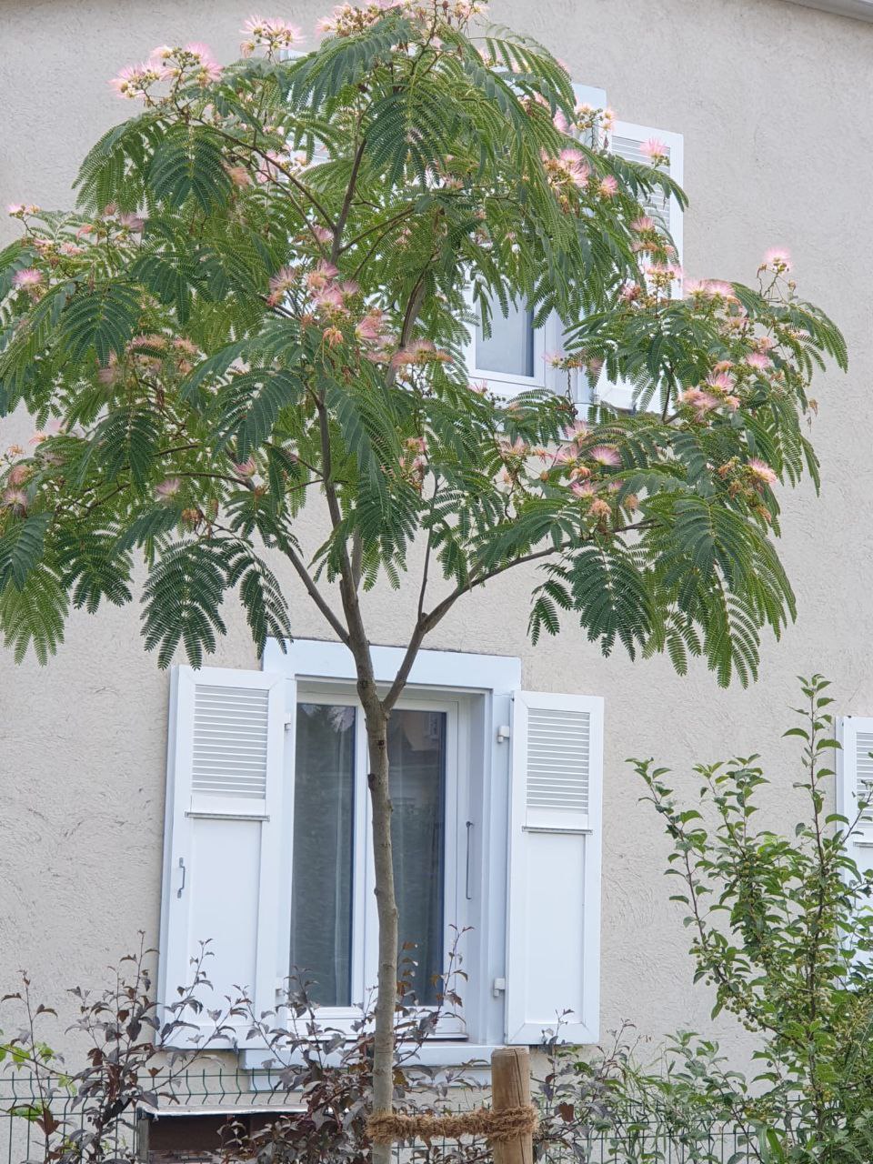 Bepflanzung 20